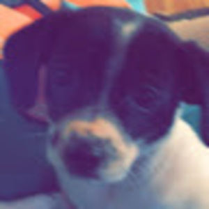 Meet your Posher, Leaha